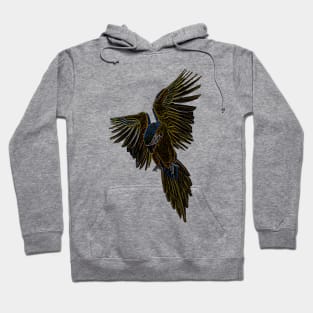 Macaw Flight Hoodie